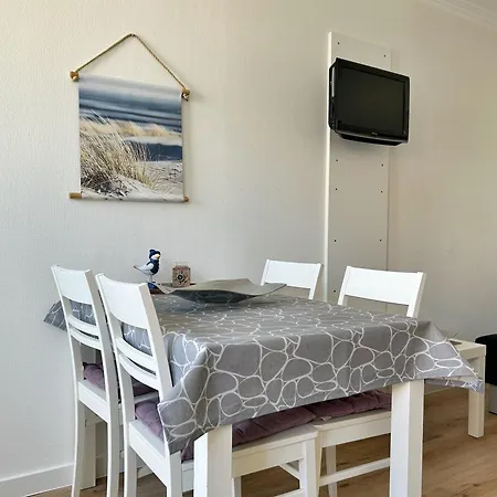 Haus Kiebitzsteert Kiebitzsteert, Strandflieder *