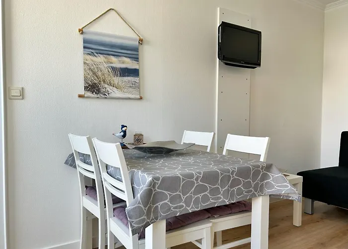 Haus Kiebitzsteert Kiebitzsteert, Strandflieder *